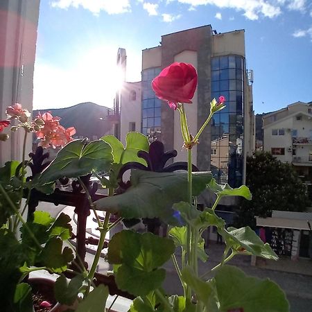 Kiwi Apartments Budva Zewnętrze zdjęcie